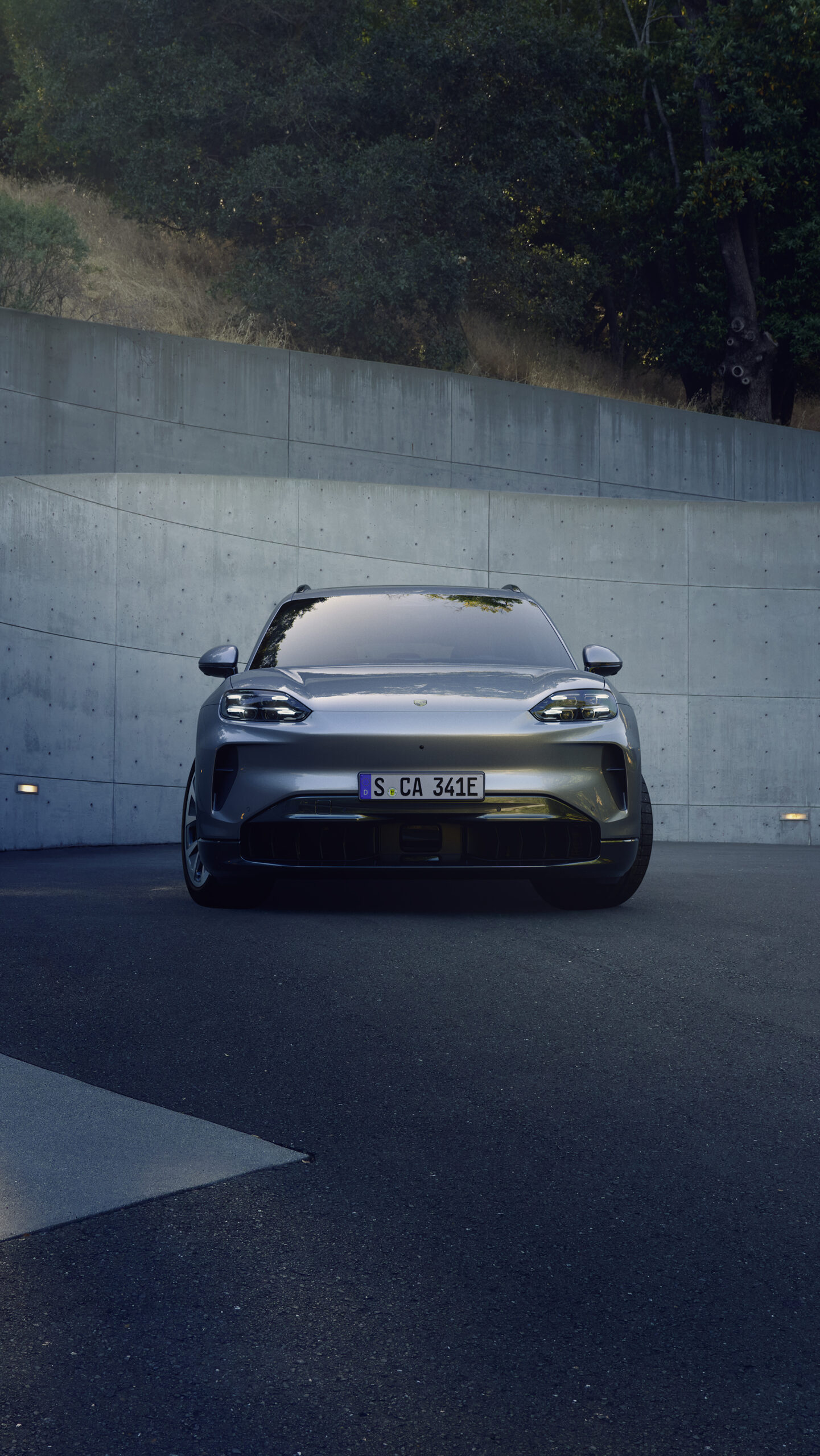 Cayenne Electric